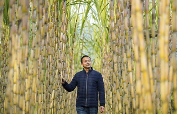 Fisherman starts new business after fishing ban on Yangtze River