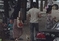 組圖：天天秀恩愛(ài)！范冰冰李晨甜蜜遛狗引圍觀