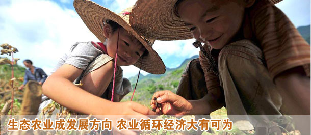 生態(tài)農(nóng)業(yè)變身高富帥 農(nóng)業(yè)循環(huán)經(jīng)濟大有可為