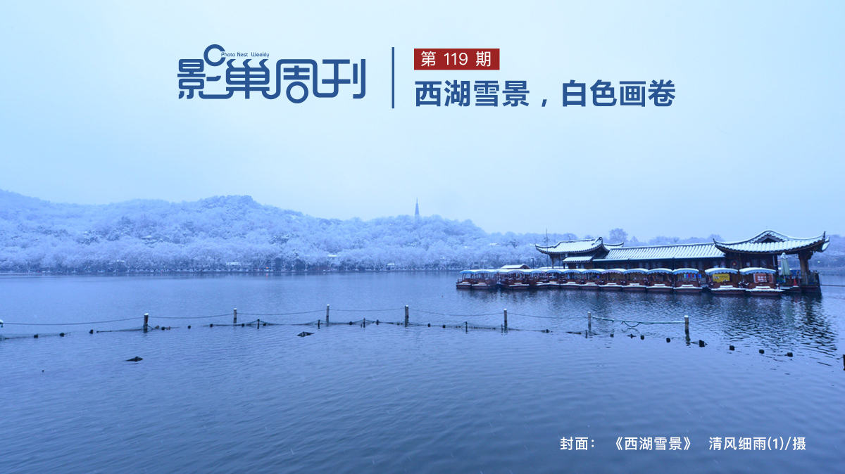 【影巢周刊】西湖雪景，白色畫卷