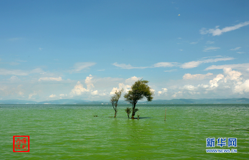 陽光昆明，爽爽的春城