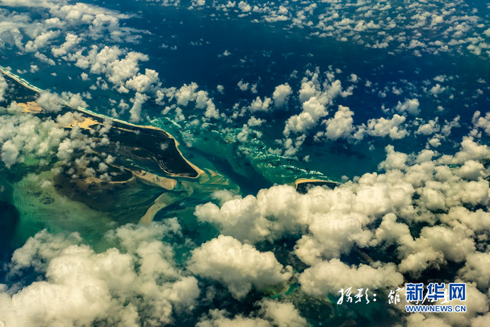 飛躍太平洋，跨越秋與春