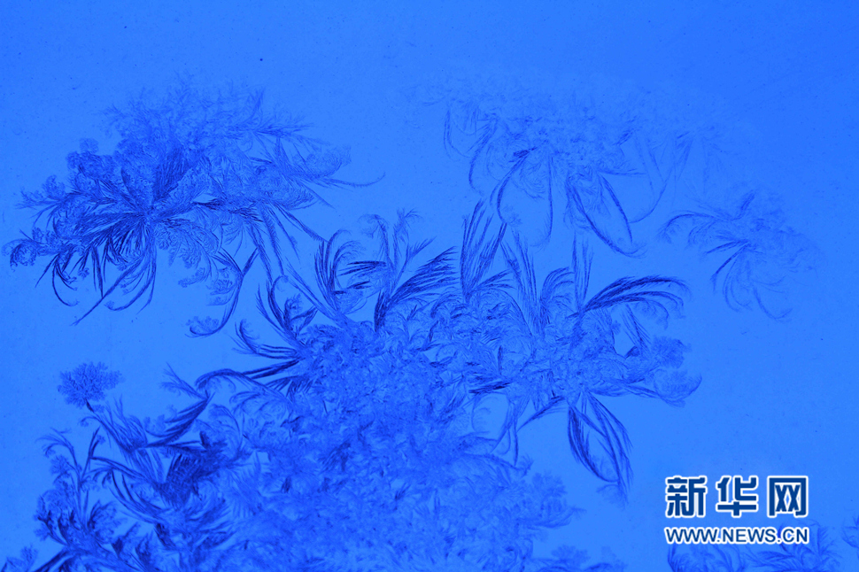 忽如一夜寒冬來(lái)，千家萬(wàn)戶(hù)窗花開(kāi)