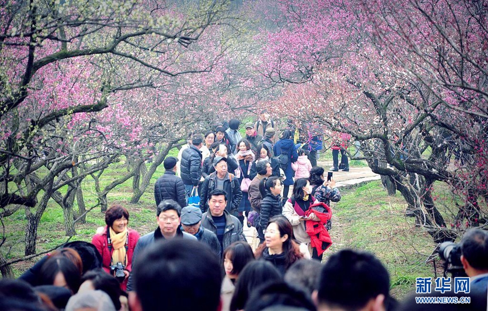 梅開又是一年春