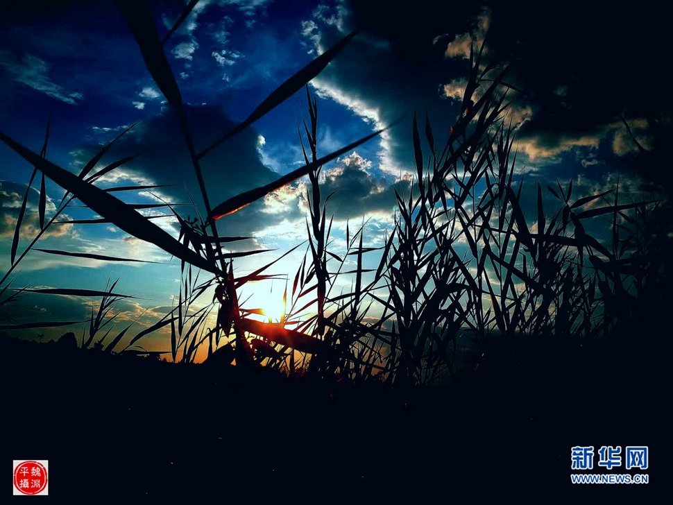 醉了的夕陽(yáng)