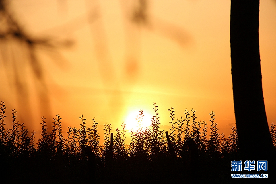 日落西山頭，人約黃昏后