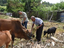 &ldquo;萬(wàn)里扶貧路上的老黨員&rdquo;陳欠水