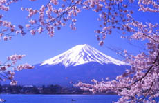 日本公租房“三費”全免 可選不同類型房