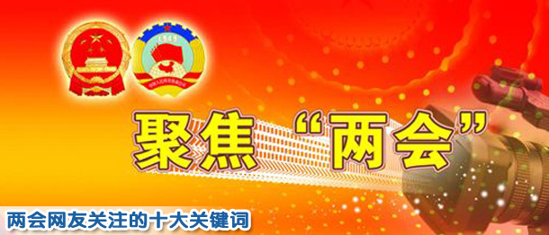 兩會網(wǎng)友關(guān)注議題調(diào)查:社會保障居首 反腐次之