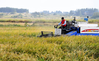 40年，小崗人的18個&ldquo;第一次&rdquo;