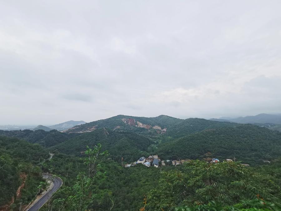 圍繞“十四五”規(guī)劃上海青年建言獻(xiàn)策 政府部門(mén)“零時(shí)差”回應(yīng)