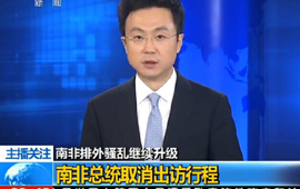 南非總統(tǒng)取消出訪(fǎng)行程