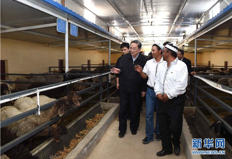 9月27日，中共中央政治局常委、全國政協(xié)主席、中央代表團團長俞正聲率中央代表團部分成員赴喀什地區(qū)莎車縣看望各族干部群眾。這是俞正聲在新疆生產(chǎn)建設兵團第三師莎車農(nóng)場實地察看萬只羊養(yǎng)殖基地。新華社記者 饒愛民 攝