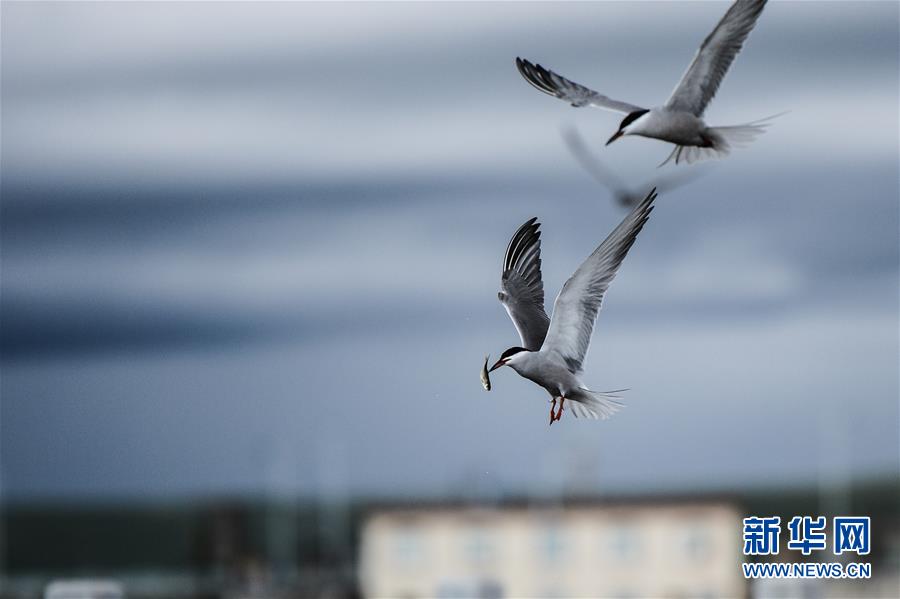 （圖文互動(dòng)）（10）奏響新時(shí)代偉大復(fù)興的壯麗樂章&mdash;&mdash;寫在&ldquo;中國夢(mèng)&rdquo;提出五周年之際