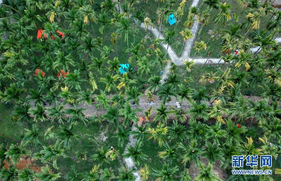 （社會(huì)）（3）海南貧困黎鄉(xiāng)&mdash;&mdash;小妹村：旅游扶貧將綠水青山打造成金山銀山(4)