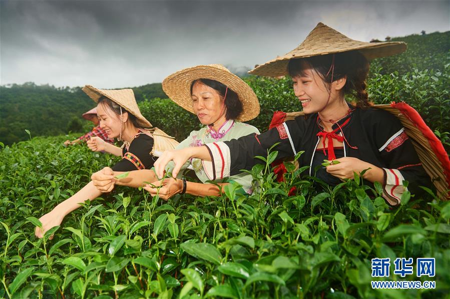 （新華全媒頭條&middot;潮起海之南&middot;圖文互動）（7）春潮拍岸千帆進(jìn)&mdash;&mdash;海南特區(qū)改革開放30年紀(jì)實