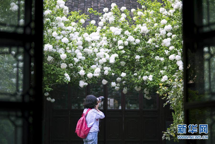 #（環(huán)境）（6）花開在四月