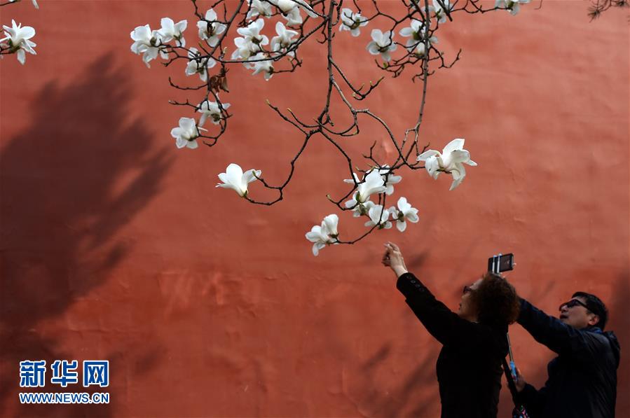 (在習(xí)近平新時(shí)代中國(guó)特色社會(huì)主義思想指引下——新時(shí)代新氣象新作為·新華全媒頭條·圖文互動(dòng))(1)最濃是這中國(guó)紅——北京市西城區(qū)弘揚(yáng)紅墻意識(shí)深化改革發(fā)展紀(jì)實(shí)
