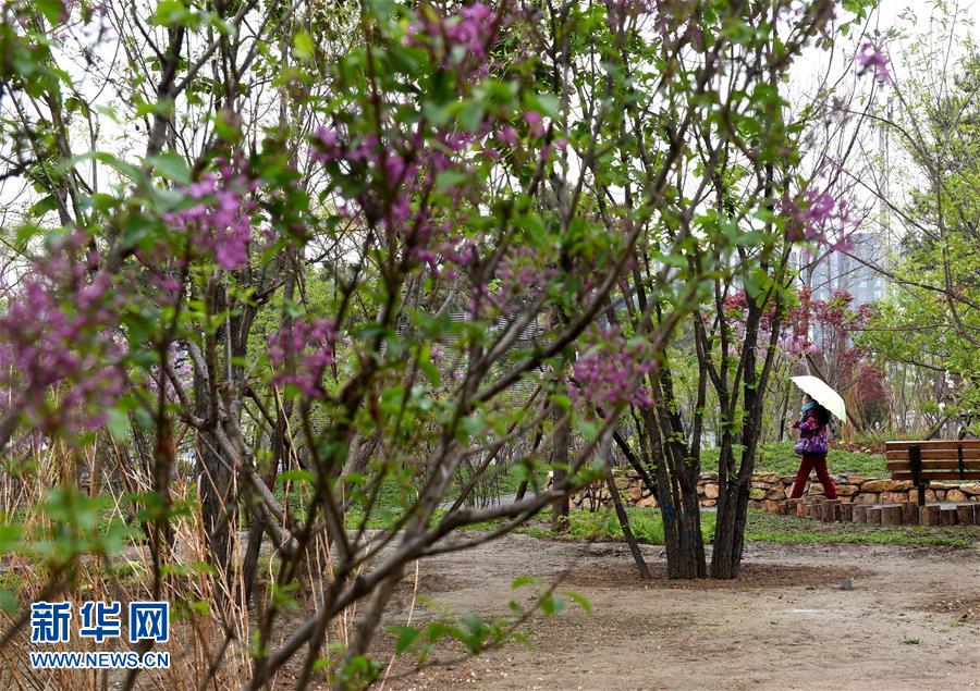 (在習(xí)近平新時(shí)代中國(guó)特色社會(huì)主義思想指引下——新時(shí)代新氣象新作為·新華全媒頭條·圖文互動(dòng))(4)最濃是這中國(guó)紅——北京市西城區(qū)弘揚(yáng)紅墻意識(shí)深化改革發(fā)展紀(jì)實(shí)