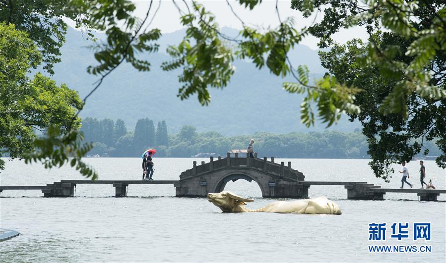 （環(huán)境）（3）杭州持續(xù)高溫天氣