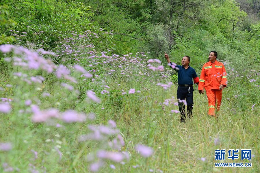 （壯闊東方潮 奮進(jìn)新時(shí)代&mdash;&mdash;慶祝改革開(kāi)放40年）（3）退耕還林20年 延安大地譜新篇