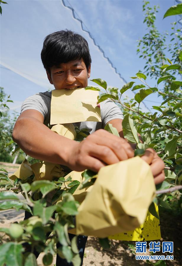 （壯闊東方潮 奮進(jìn)新時(shí)代&mdash;&mdash;慶祝改革開放40年）（10）退耕還林20年 延安大地譜新篇