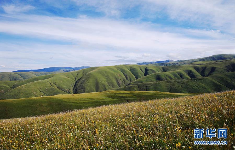 （環(huán)境）（7）白皮書(shū)：青藏高原地區(qū)仍然是地球上最潔凈的地區(qū)之一