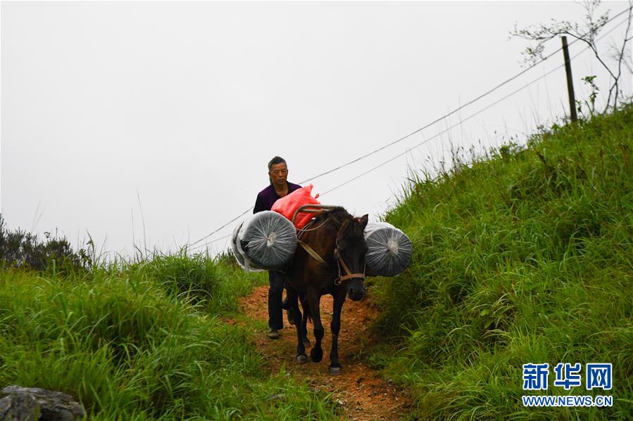 （新華全媒頭條&middot;圖文互動）（4）一個人，一座山&mdash;&mdash;劉真茂的生命守望
