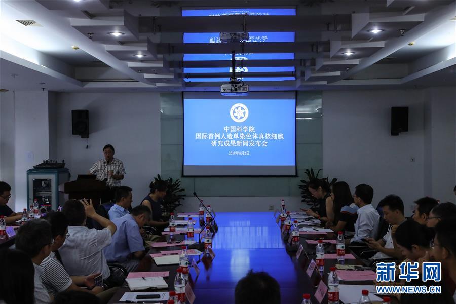 （新華全媒頭條&middot;圖文互動）（6）人造單條染色體真核細胞問世　我國開啟合成生物學(xué)研究新時代