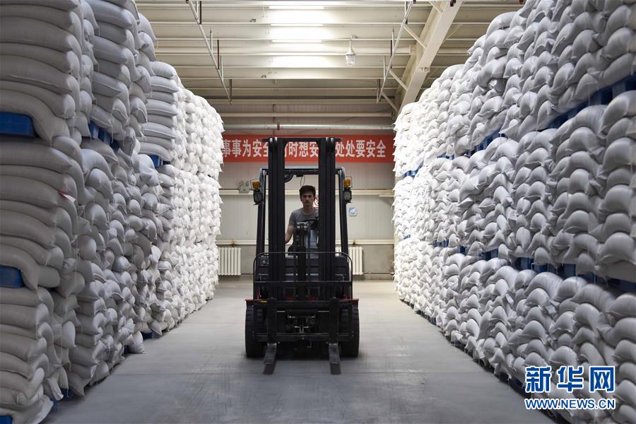 （新華全媒頭條&middot;圖文互動(dòng)）（6）去新疆！穿越古今絲綢之路