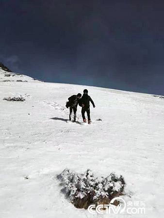 下雪天巡護(hù)也是常有的事。