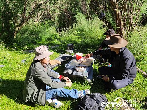 長途跋涉途中休息。