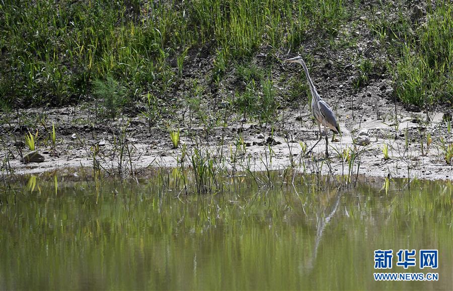 （新華全媒頭條&middot;圖文互動）（10）中國扶貧的西海固答卷&mdash;&mdash;寧夏奮進(jìn)60年巡禮之脫貧攻堅篇