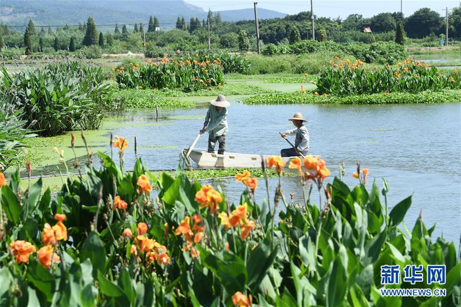 （新華全媒頭條&middot;聚焦鄉(xiāng)村振興戰(zhàn)略規(guī)劃&middot;圖文互動）（14）推進(jìn)鄉(xiāng)村振興的行動指南&mdash;&mdash;解讀鄉(xiāng)村振興戰(zhàn)略首個(gè)五年規(guī)劃亮點(diǎn)