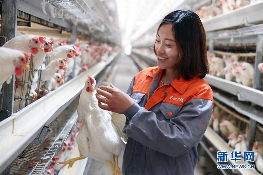 (新華全媒頭條·圖文互動(dòng))(1)希望灑在金色田野——寫在鄉(xiāng)村振興戰(zhàn)略實(shí)施一周年之際