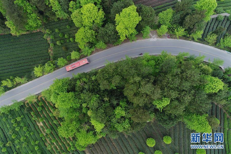 (新華全媒頭條·圖文互動(dòng))(6)希望灑在金色田野——寫在鄉(xiāng)村振興戰(zhàn)略實(shí)施一周年之際