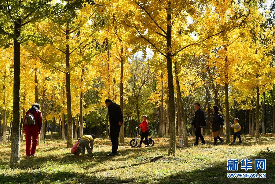 （百城百縣百企調(diào)研行&middot;圖文互動(dòng)）（2）生態(tài) 文明 宜居&mdash;&mdash;北京城市副中心未來(lái)之城正在崛起