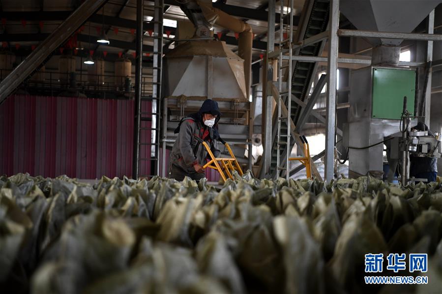 （在習(xí)近平新時代中國特色社會主義思想指引下&mdash;&mdash;新時代新氣象新作為&middot;鄉(xiāng)村振興戰(zhàn)略&middot;圖文互動）（1）&ldquo;與其放火，不如打包&rdquo;&mdash;&mdash;山西渾源秸稈綜合再利用見聞