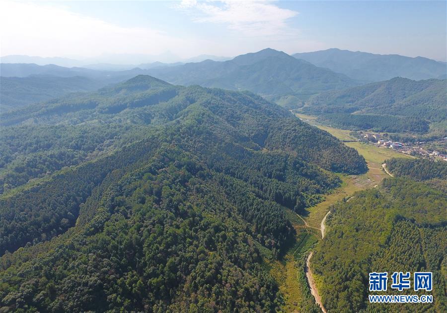 （在習(xí)近平新時(shí)代中國(guó)特色社會(huì)主義思想指引下&middot;慶祝改革開放40周年&middot;綠色發(fā)展&middot;圖文互動(dòng)）（3）向陽(yáng)花木易為春&mdash;&mdash;綠色發(fā)展之&ldquo;木&rdquo;的故事