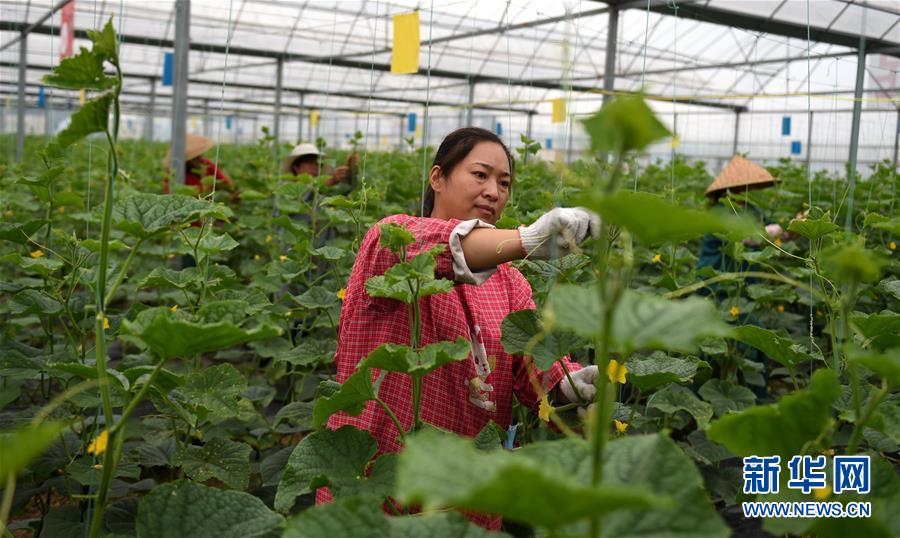 （新華全媒頭條&middot;圖文互動）（11）心中有夢想，腳下就有力量&mdash;&mdash;寫在&ldquo;中國夢&rdquo;提出六周年之際