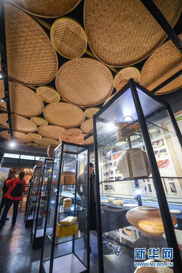 （慶祝改革開放40周年基層行&middot;鄉(xiāng)鎮(zhèn)篇&middot;圖文互動）（6）烏鎮(zhèn)40年：根里的靜與脈中的動