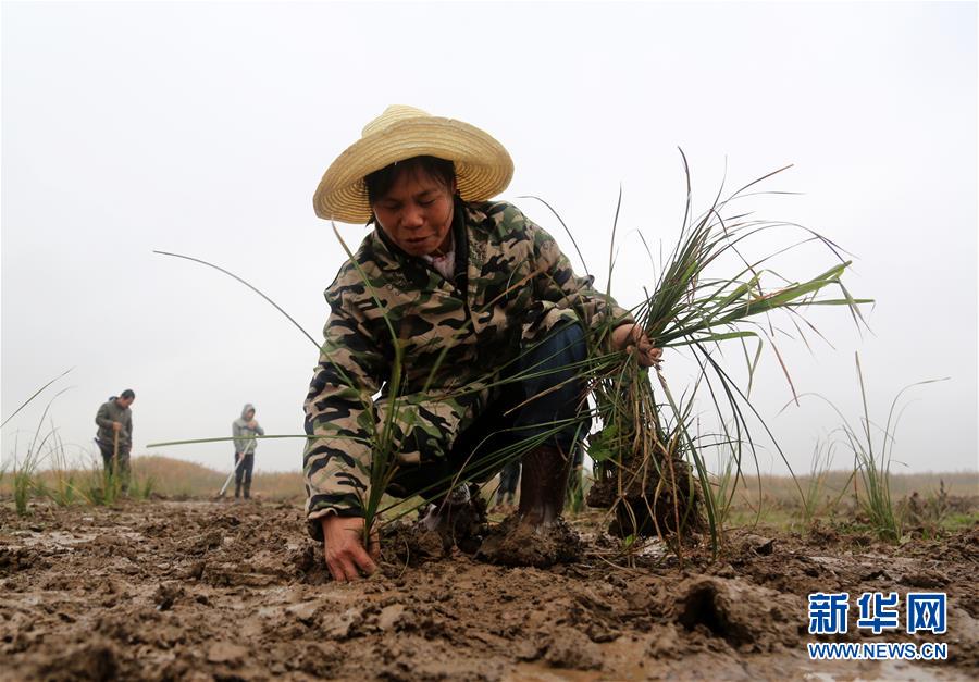 （新華視點(diǎn)&middot;回望2018&middot;圖文互動）（3）2018年新華社曝光多起破壞生態(tài)事件，記者年底追訪發(fā)現(xiàn)&hellip;&hellip;