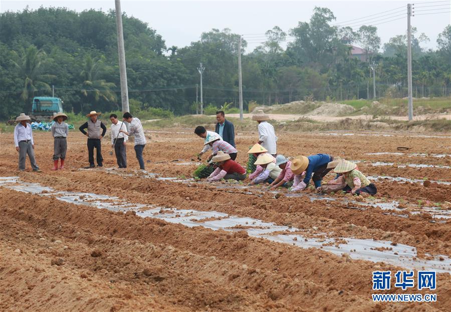 （新華視點(diǎn)&middot;回望2018&middot;圖文互動）（7）2018年新華社曝光多起破壞生態(tài)事件，記者年底追訪發(fā)現(xiàn)&hellip;&hellip;