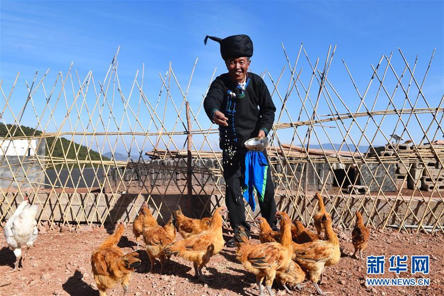 （新華全媒頭條&middot;奮進(jìn)新時(shí)代&middot;迎接兩會(huì)特別報(bào)道&middot;圖文互動(dòng)）（5）新征程，向著偉大夢(mèng)想前進(jìn)&mdash;&mdash;從黨的十九大到2018年全國(guó)兩會(huì)