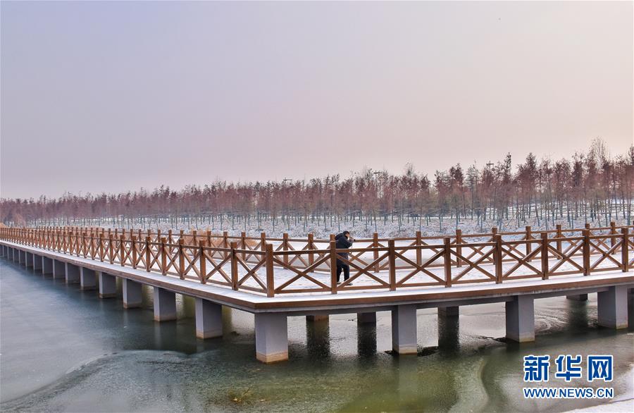 (在習(xí)近平新時代中國特色社會主義思想指引下——新時代新作為新篇章·圖文互動)(4)水綠相間看古都 古今輝映洛陽城