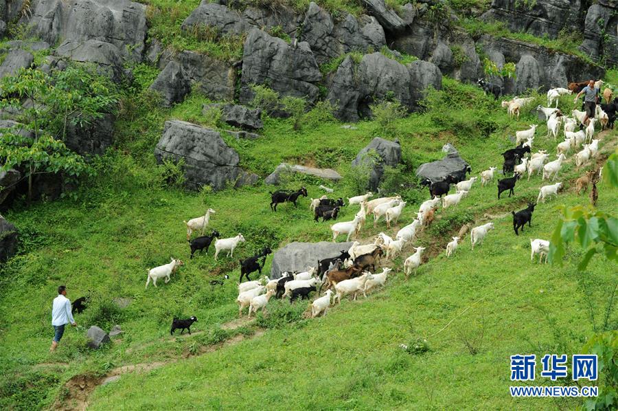 （兩會(huì)前夕看落實(shí)&middot;圖文互動(dòng)）（2）決戰(zhàn)脫貧攻堅(jiān) 奮力后發(fā)趕超&mdash;&mdash;貴州落實(shí)習(xí)近平總書記全國(guó)兩會(huì)重要講話精神紀(jì)實(shí)