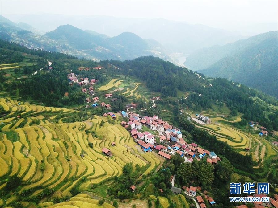 （兩會(huì)前夕看落實(shí)&middot;圖文互動(dòng)）（6）決戰(zhàn)脫貧攻堅(jiān) 奮力后發(fā)趕超&mdash;&mdash;貴州落實(shí)習(xí)近平總書記全國(guó)兩會(huì)重要講話精神紀(jì)實(shí)