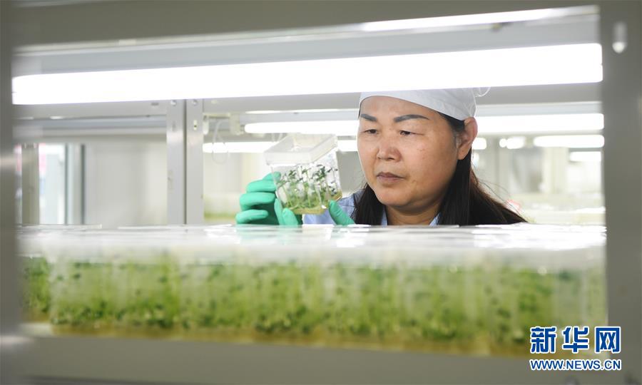 （兩會前夕看落實&middot;圖文互動）（5）春風(fēng)涌動兩江潮&mdash;&mdash;重慶落實習(xí)近平總書記全國兩會重要講話精神紀實