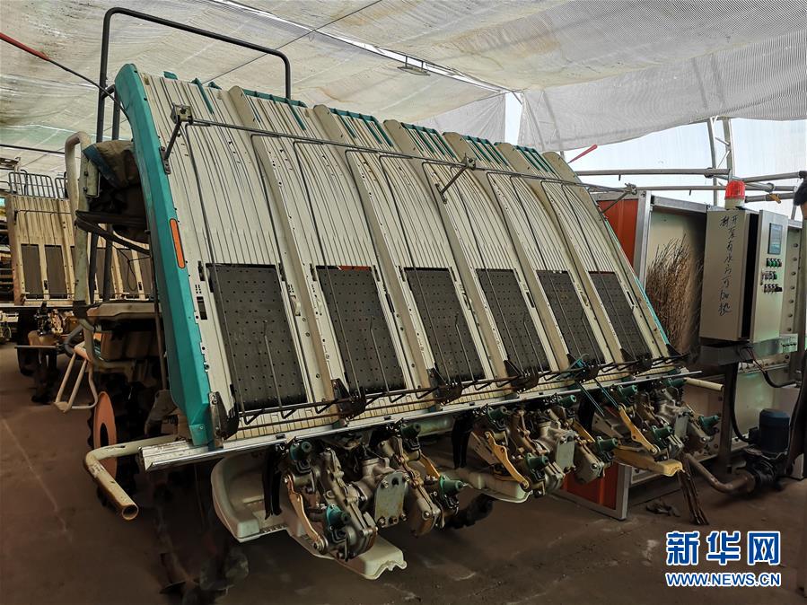 (在習(xí)近平新時(shí)代中國(guó)特色社會(huì)主義思想指引下——新時(shí)代新作為新篇章·圖文互動(dòng))(2)黑土地上感受“中國(guó)飯碗”新變化