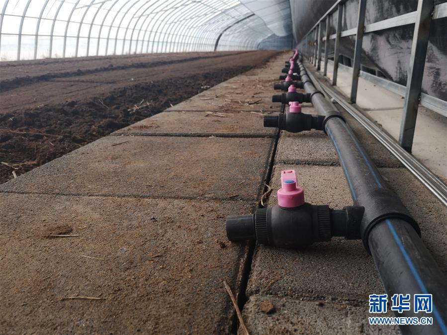 (在習(xí)近平新時(shí)代中國(guó)特色社會(huì)主義思想指引下——新時(shí)代新作為新篇章·圖文互動(dòng))(3)黑土地上感受“中國(guó)飯碗”新變化